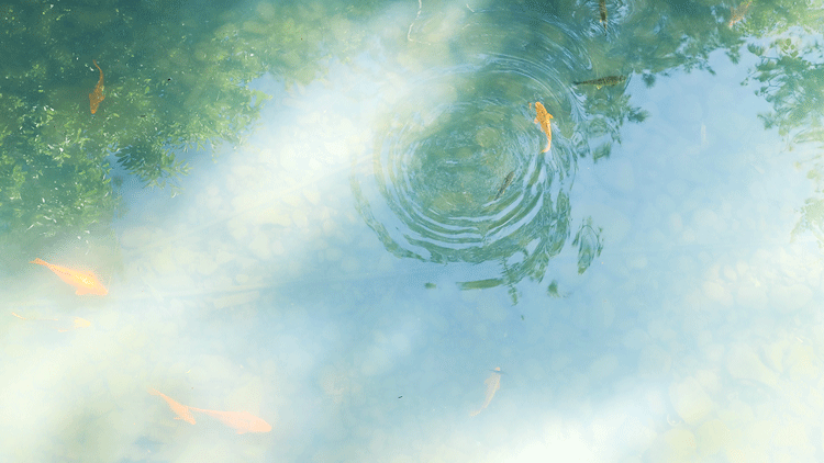 1588644895745921.png 微信圖片_20200505101023.png