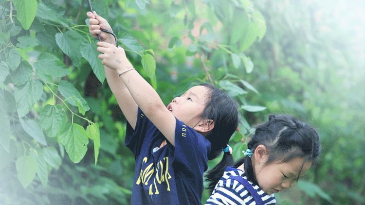 1588644941639288.jpg 微信圖片_20200505101036.jpg